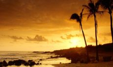 属牛与属羊的婚姻：牛羊婚配是绝佳组合还是注定的绝命婚姻？