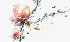 预测：74年属虎人在2022年的全年财富、健康、事业和爱情运势分析