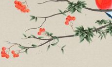 2022年生肖蛇每个月的运势全方位分析：事业、财运、爱情、健康与人际关系全都覆盖的综合指南