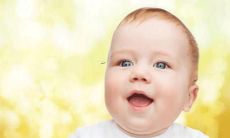 探究植物王国中，最令人心旷神怡、耳目一新的品种名称