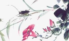 2022壬寅年，哪些十二生肖将会迎来怎样的运势和生活变化？