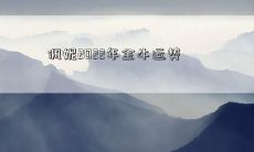 探寻佩妮在2022年金牛座的运势：生活、工作、感情和财运预测