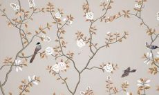 探寻76年龙生肖女2022年的吉凶祸福运势预测指南