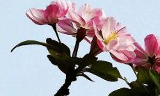 在太岁之年如何减少厄运和不顺？