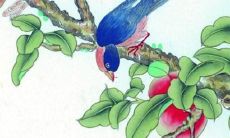 深入探究2022年个人运势：从财运、感情、健康到事业，全面分析如何应对这一年的挑战和机遇！