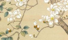 2022年生肖运势详细预测，揭示十二生肖在2022年的运程吉凶以及星座运势变化，全面解读每个生肖的财富、事业、爱情、健康等方面的情况