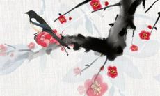 详解1992年属猴女2022年每月波动的运势和助力，以及30岁属猴女性的整体运程展望