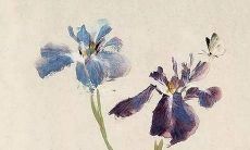 2022年虎年生肖——关于虎运势，你需要了解的全部信息