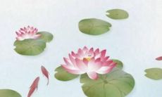 犯太岁的人最好佩戴什么？优雅的护身符和吉祥符号在开运方面将会有所帮助么？