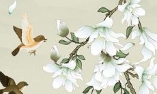 2022年属羊女性的综合全年运势解析