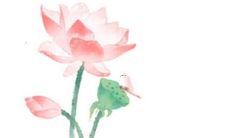 在虎年到来时，属猴的如何运用风水和吉祥物来避免厄运？