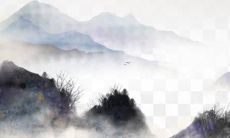 1986年某个月出生的老虎：命运坎坷之路