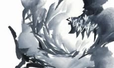 2022年牛年：针对每个月份详细解读的全面运势预测