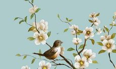 2022年对于生于71年属猪男性的每月运势如何呢？