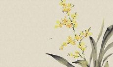 2022年属牛人每个月的综合运势分析：未来一整年路如何？