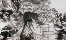 探究73年出生牛女2022年的星象预测，从多个层面解析其运势走向及可能的发展趋势