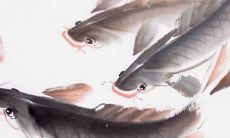 精选出的富有创意、美妙动听的快餐品牌名称大全汇编