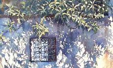 2022年中国生肖龙的全面运势大揭秘及详尽解析