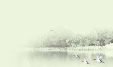 2022年属猪人的农历运势展望：全面解析每个月份的具体表现及面临的挑战和机遇，为你指引幸运方向！