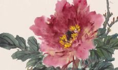 属猪男2022年的运势和婚姻情况：从财富、事业、健康到配偶选择，详尽分析！