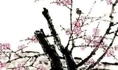 1970年属狗人群中寿命长达百岁以上的高龄老人们