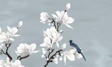 细散掘金1972年属鼠者之2022年度全面占卜：各月运势深度揭密，量身定制的成功运程秘籍！