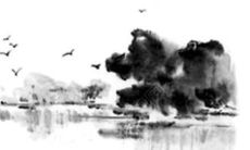 2022年属龙女性的整年运势展望以及对其生活、职业和人际关系可能产生的影响