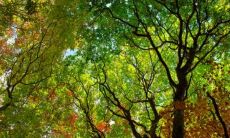 探究父母与子女的属相相冲对亲子关系的影响