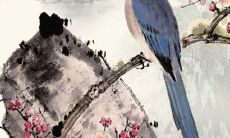 预测2022年将会如何影响属蛇人的运势：好运还是霉运？