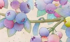 2022年，根据中国十二生肖传统，蛇命的运势大揭秘！