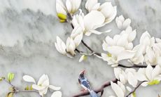 2022年天蝎狗女的全面运势分析，包括事业、财富、感情和健康等方面的展望