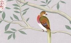 2022年对于属虎男的62位命运将有何变化？