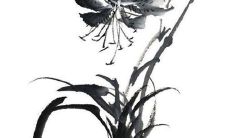 2022年乙酉日出生的个人全年运势预测