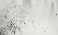 预测：十二生肖2022年度财运、感情、事业、健康等多方面全面解析，详细分析每个生肖的运势走向，以知名命理大师麦玲玲的预测为主，让您提前了解并做好充分的准备！