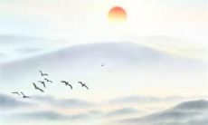 根据八字算命，预测82年兔女在2022年的全年运势、财运、感情、事业方面的走势及进阶建议