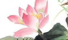 生肖狗 4月，拥有旺盛的财运和幸福，人生如意称心的好运来临！