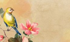 预测-从1974年出生的女虎到2022年的运势展望