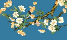 根据生肖属相，详解癸卯年2022的运势趋势与吉凶变化