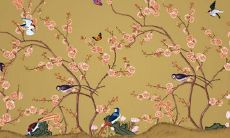 2022年如何改变属猪人的运势？探索属猪人在虎年转运的方法与技巧！