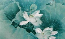 2022年牛年73个属相的运势预测，你准备好了吗？