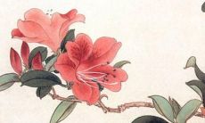 属虎年的生肖，遇上太岁闯祸不断，需注意克制冲动，平衡情绪健康发展