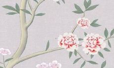 2022年海豚运势代表着什么？