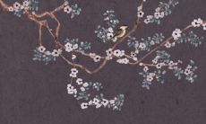 牛年出生者经历49岁起的大运后，其接下来的运势如何？——对73年属牛的49岁大运之后的运势进行分析