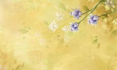 在虎年中，属鸡的人适合结婚吗？96年和93年属鸡的人如何选择婚配生肖？