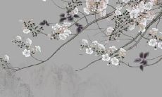 了解86年出生的属虎者的火命运势和须知，以及如何避免忌讳和不幸的局面