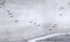 探寻2022年生于80年属猴的女性运势情况