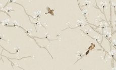 如何化解80年属猴42岁可能遭遇的大劫？探讨解决方案！