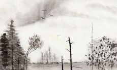 根据八字预测分析，以日柱戊子为基准，详细阐述2022年个人全年运势变化及对不同生肖的影响