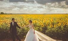 完整解密：熟悉狮子座出众人才的综合分析，详尽揭秘月亮星座为主的名人排行榜