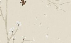 详细解析：2022年蛇年运势预测及其全年运程月度详解